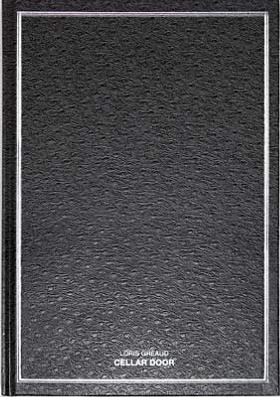 Loris Gréaud, Cellar Door