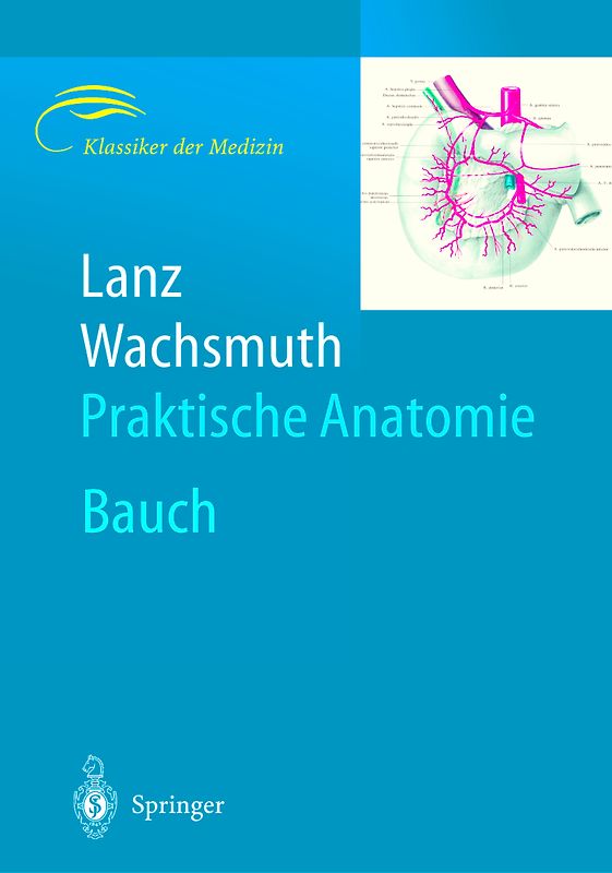 Bauch