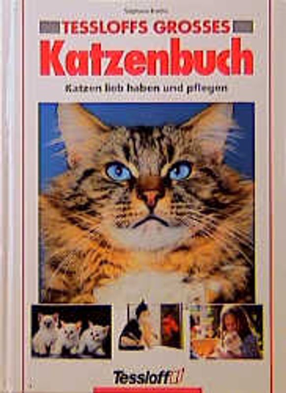 Tessloffs grosses Katzenbuch