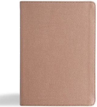 KJV Study Bible, Personal Size Edition, Rose Gold Leathertouch