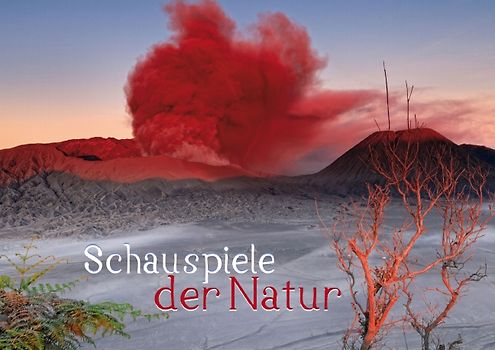 Schauspiele der Natur (Posterbuch DIN A3 quer)
