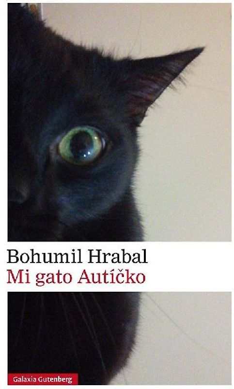 Mi gato Autícko