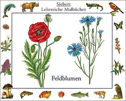 Feldblumen. Malbuch. Verpackungseinheit