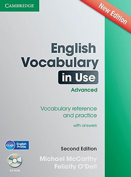 English Vocabulary in Use: Advanced