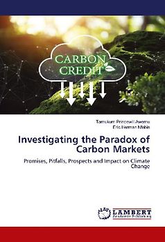 Investigating the Paradox of Carbon Markets