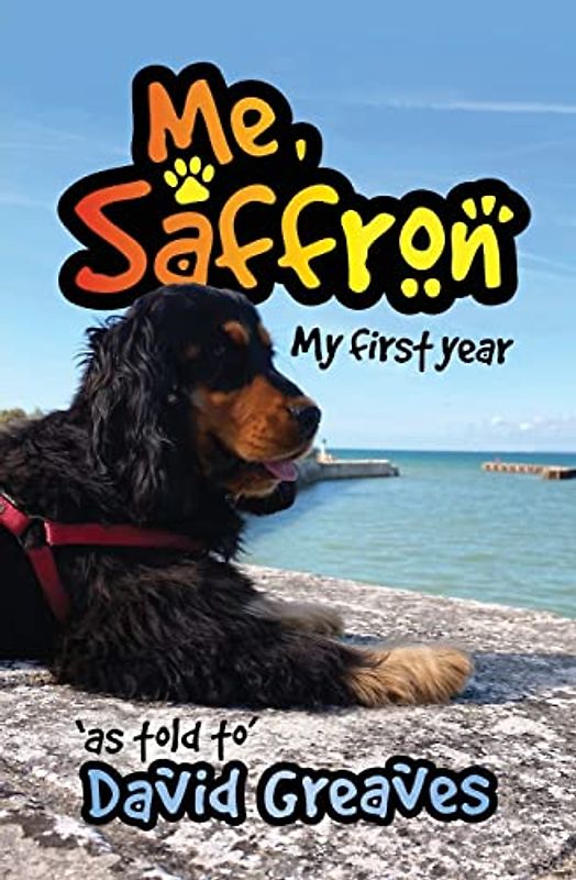 Me, Saffron: My First Year