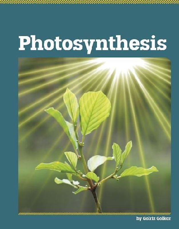 Photosynthesis