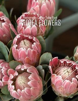 PROTEA FLOWERS Photography Coffee Table Book: Protea flowers Photography Coffee Table Book for All: An Amazing Group Of Pictures For Relaxing & ... Images (8.5"*11") Paperback May 27,2023 .
