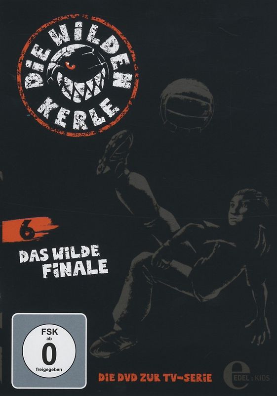 Die wilden Kerle - Teil 6 - Das wilde Finale DVD