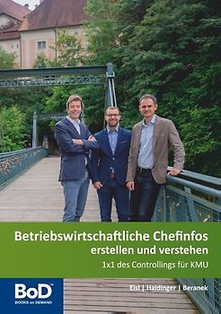 Betriebswirtschaftliche Chefinfos erstellen und verstehen. 1x1 des Controllings für KMU
