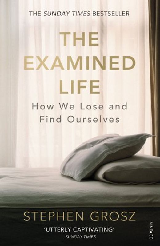 The Examined Life: How We Lose and Find Ourselves - Grosz, Stephen