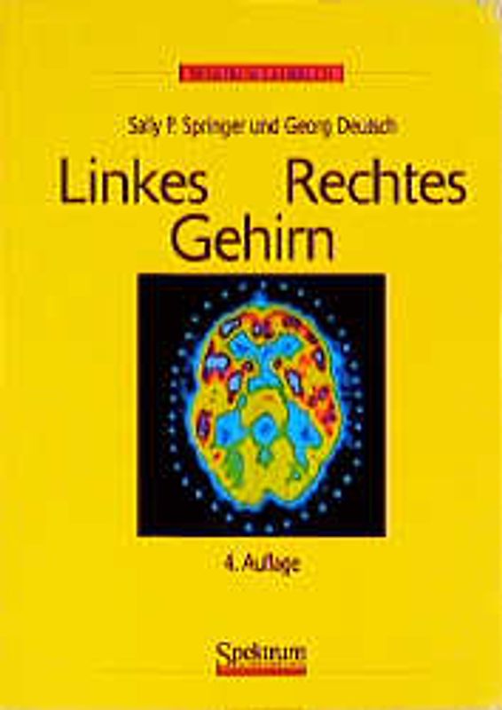 Linkes / Rechtes Gehirn