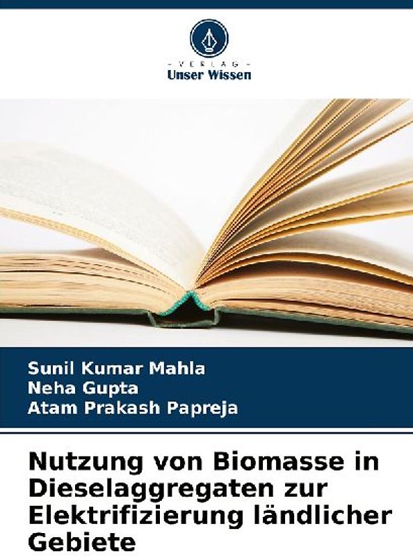 Nutzung von Biomasse in Dieselaggregaten zur Elektrifizierung ländlicher Gebiete