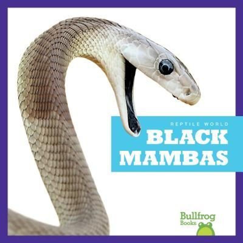 Black Mambas