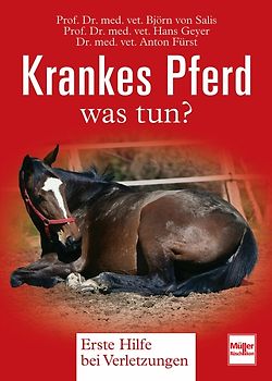 Krankes Pferd - was tun?