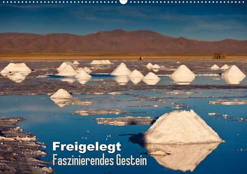 Freigelegt: Faszinierendes Gestein (Posterbuch DIN A3 quer)