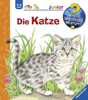 Wieso? Weshalb? Warum? junior, Band 21 - Die Katze