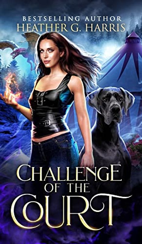 Challenge of the Court: An Urban Fantasy Novel (The Other Realm, Band 5)