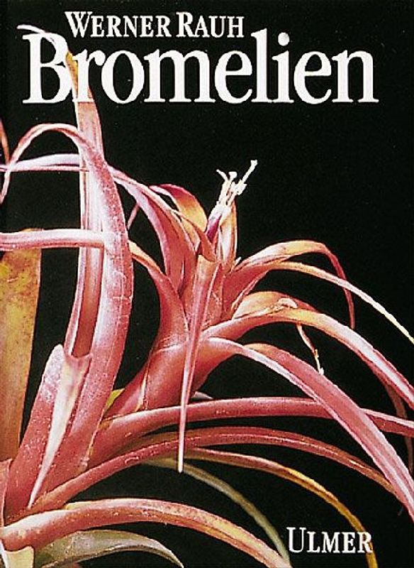 Bromelien. Tillandsien und andere kulturwürdige Bromelien
