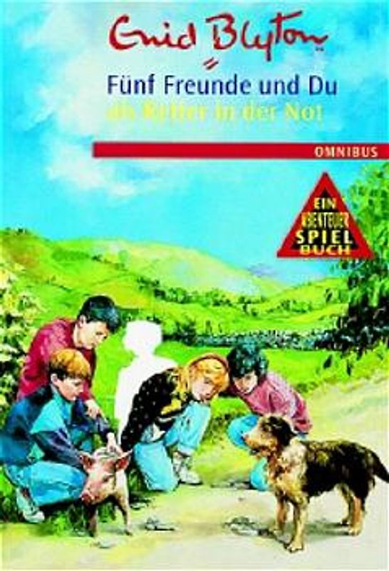 Die fünf Freunde und Du. Mitdenk-Abenteuer / ... als Retter in der Not