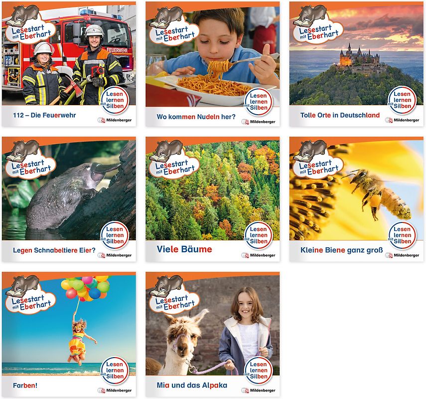 Paket – Lesestart mit Eberhart, Lesestufe 2: Komplettbezug Heft 61-70