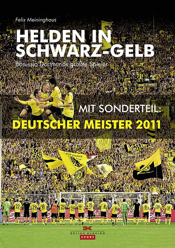 Helden in Schwarz-Gelb