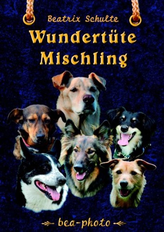 Wundertüte Mischling: 50 Lebensgeschichten der beliebtesten Hunderasse der Welt