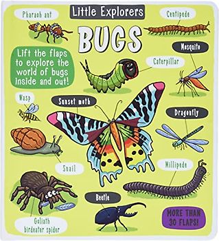 Little Explorers: Bugs