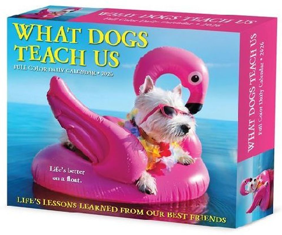 What Dogs Teach Us 2026 5.4 X 6.2 Box Calendar