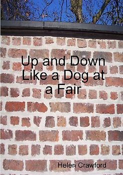 Up and Down Like a Dog at a Fair