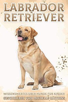 Labrador Retriever: Wissenswertes über Hunde für Kinder #8