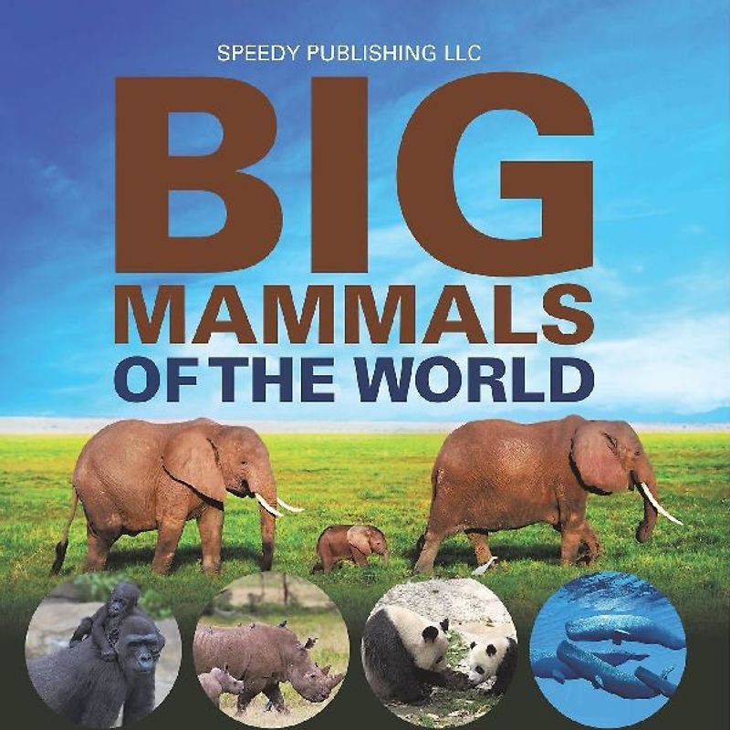 Big Mammals Of The World