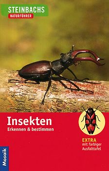 Insekten