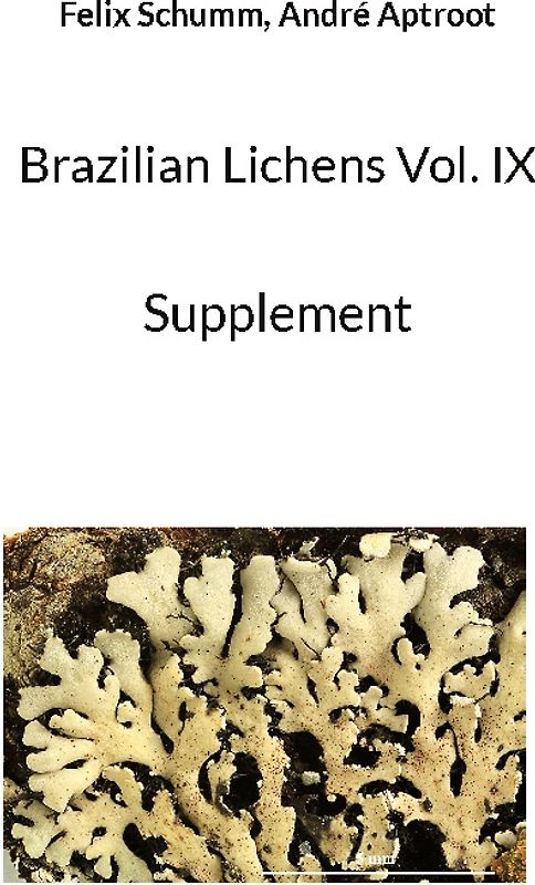 Brazilian Lichens Vol. IX