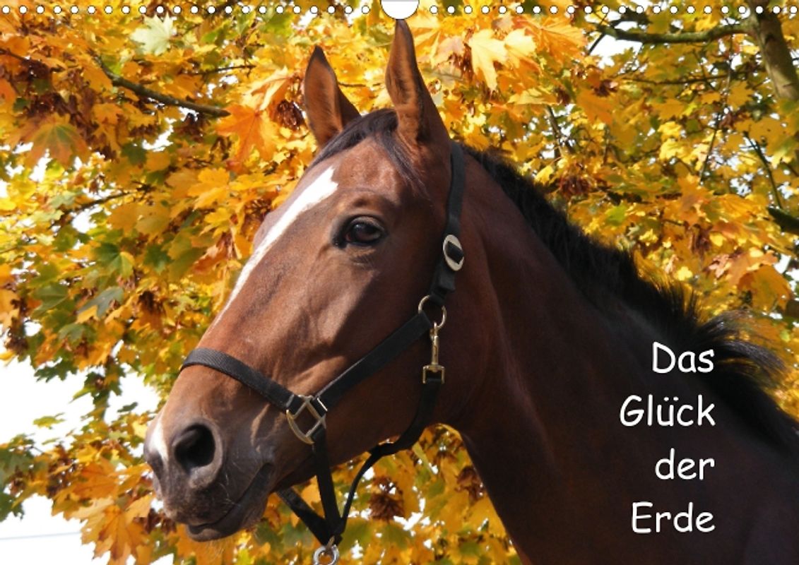 Das Glück der Erde (Posterbuch DIN A3 quer)