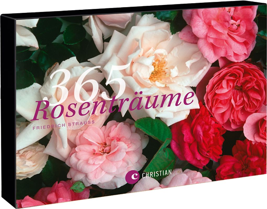 365 Rosenträume