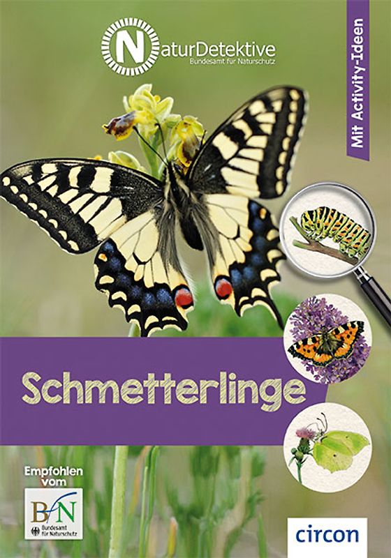 Schmetterlinge
