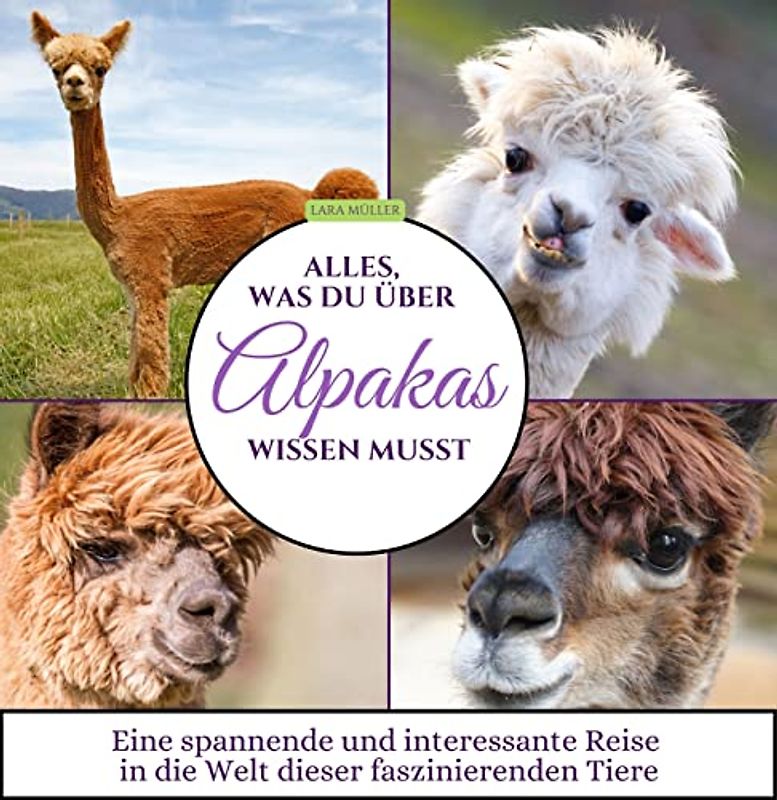 Alles, was du über Alpakas wissen musst
