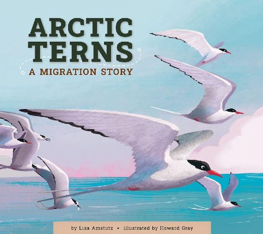 Arctic Terns