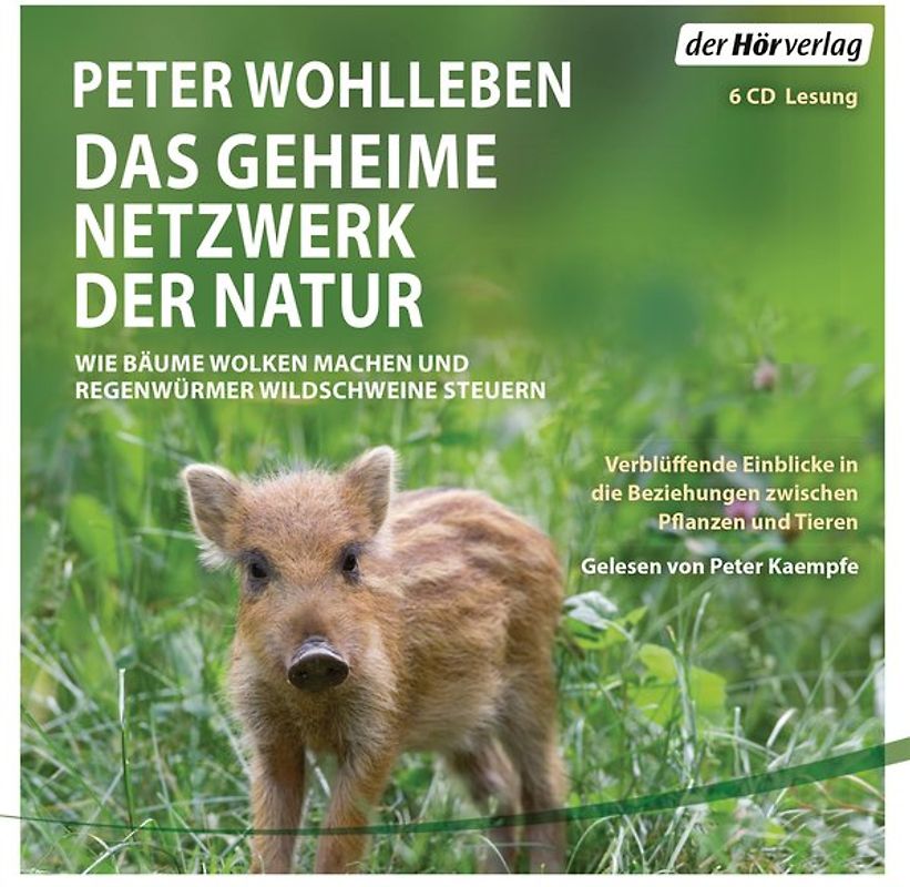Das geheime Netzwerk der Natur