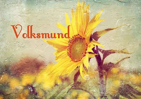 Volksmund (Posterbuch DIN A3 quer)