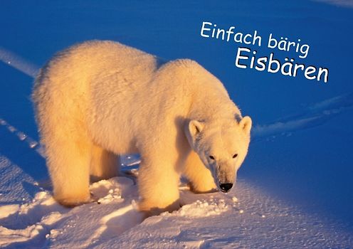 Einfach bärig: Eisbären (Tischaufsteller DIN A5 quer)