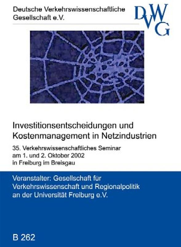 Investitionsentscheidungen und Kostenmanagement in Netzindustrien