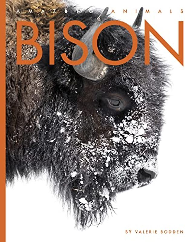 Bison (Amazing Animals)