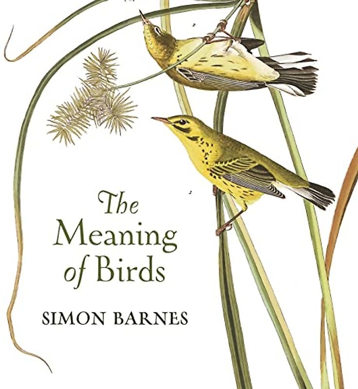 The Meaning of Birds