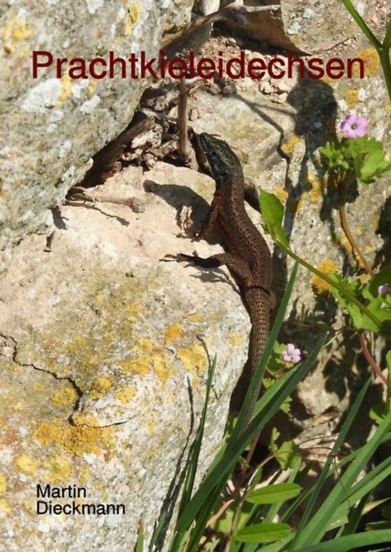 Prachtkieleidechsen