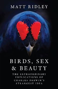 Birds, Sex and Beauty