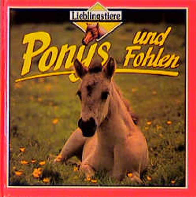 Ponys und Fohlen