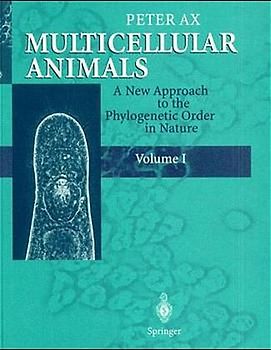 Multicellular Animals