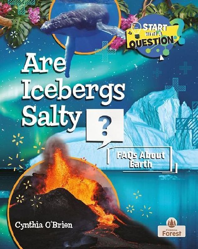 Are Icebergs Salty?